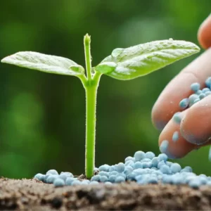 Fertilizers Industry